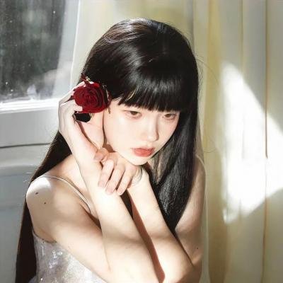 小熊小虎寻宝记